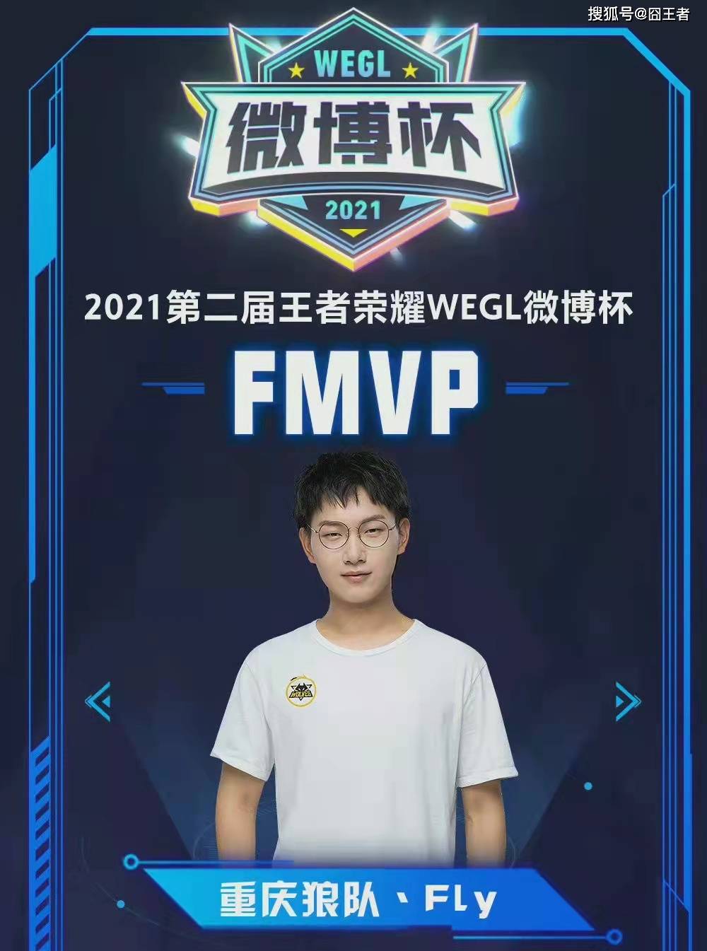 的稳健组织 的稳健组织